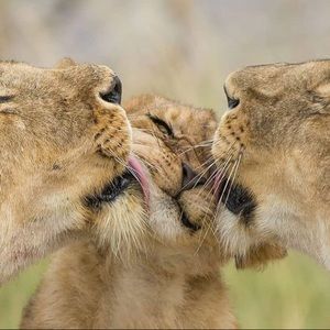 Meet your Posher, Brianna